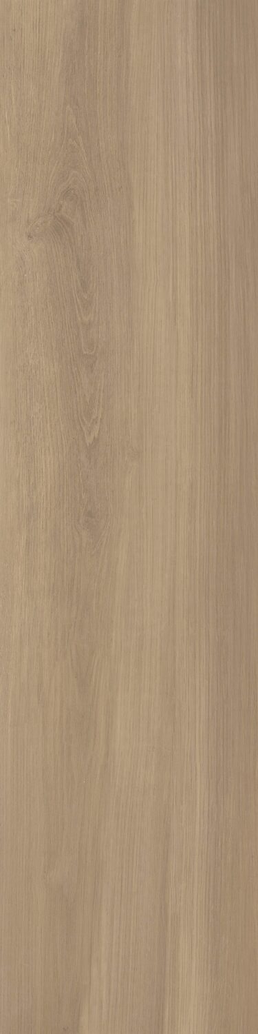 Evergreen - Image 6
