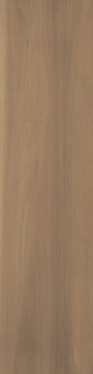 Evergreen - Image 5