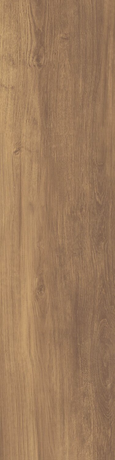Evergreen - Image 3