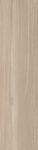 EVERGREEN Rovere
