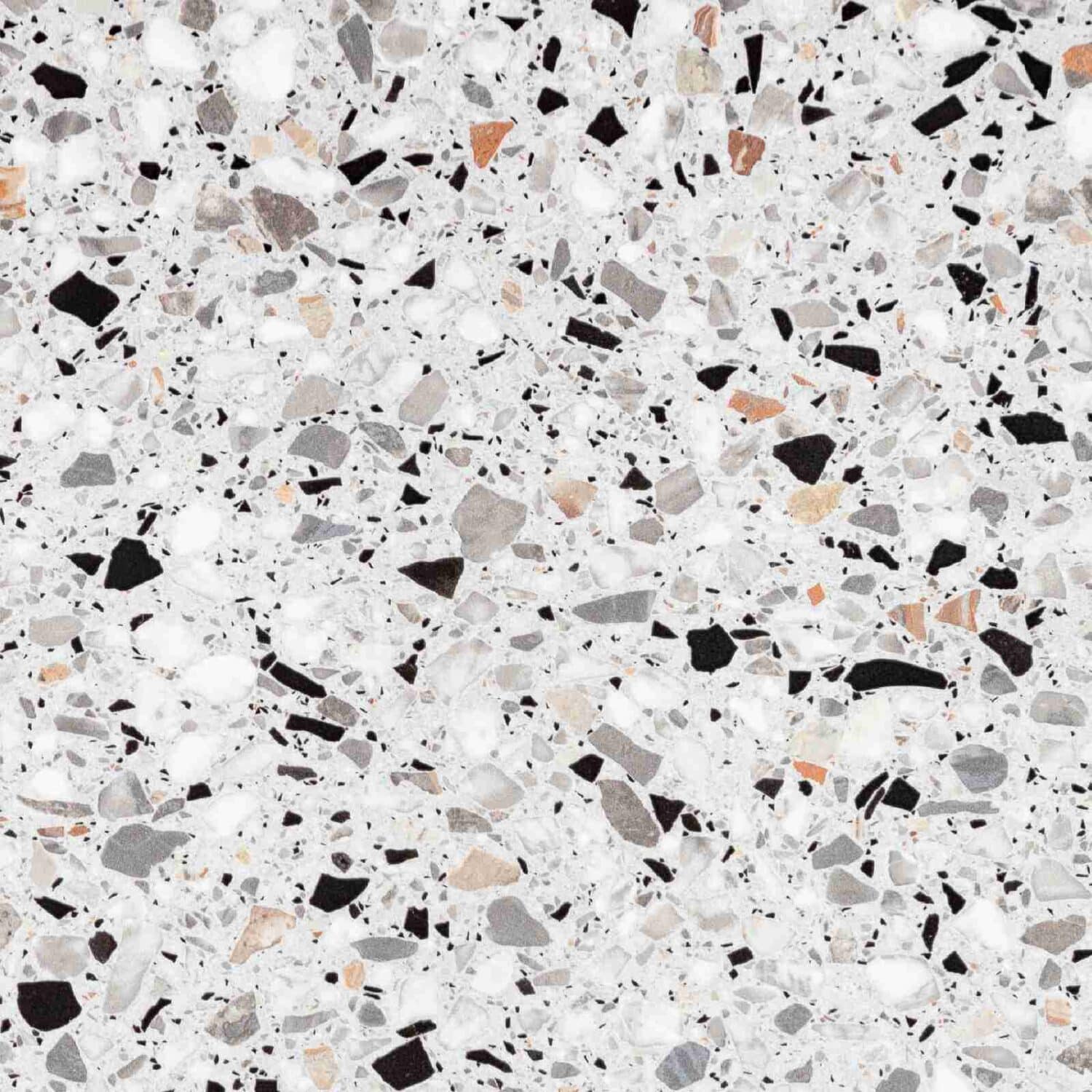 Rosa - Image 4