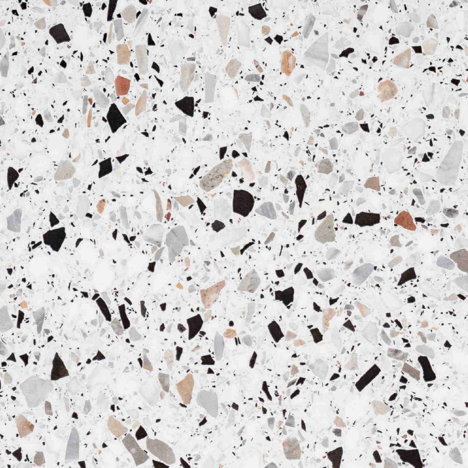 Rosa - Image 3