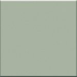 CORAL Mastice