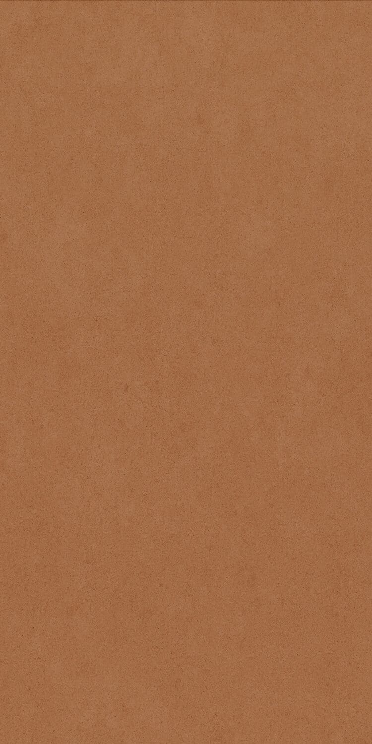 Marigold - Image 6