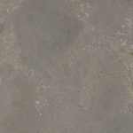NUTMEG Dark Gray
