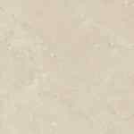NUTMEG Taupe
