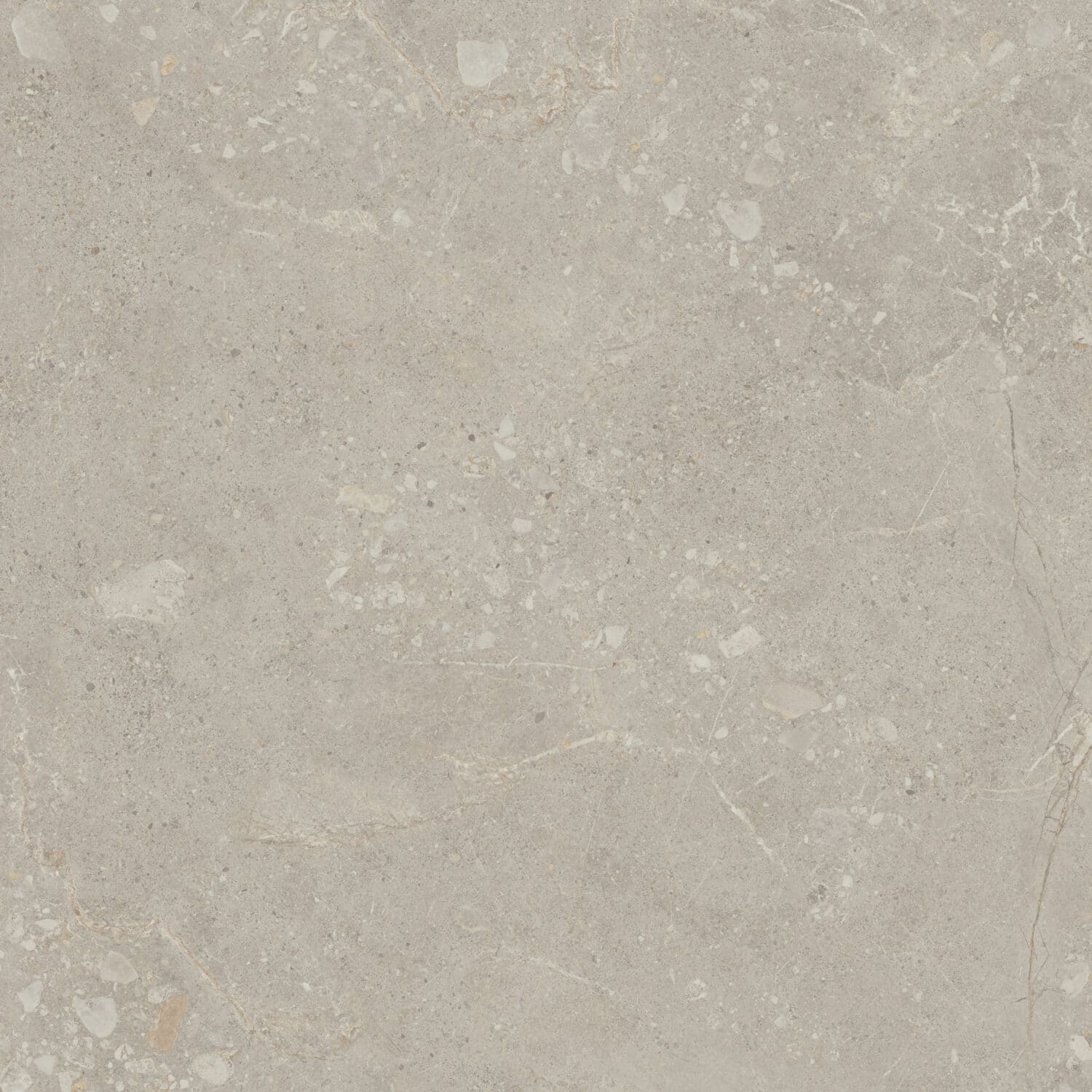 Nutmeg - Image 6
