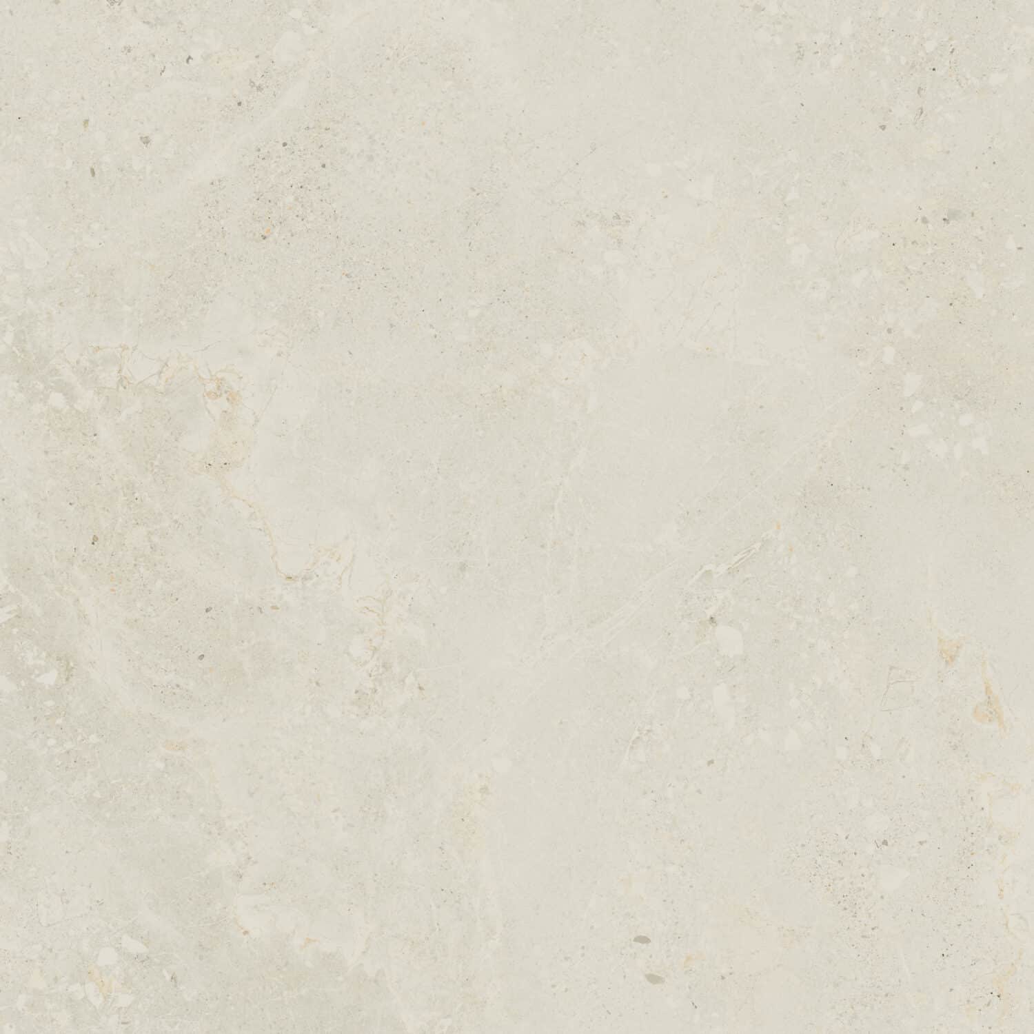 Nutmeg - Image 3