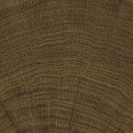 CINNAMON Wenge